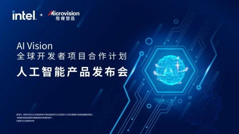 别再自己瞎折腾AI了！找个靠谱的“AI智能项目代理公司”真能救命（老张的踩坑血泪史）